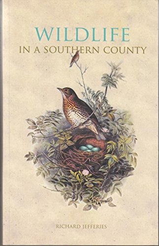 Imagen de archivo de Wildlife in a Southern County a la venta por WorldofBooks