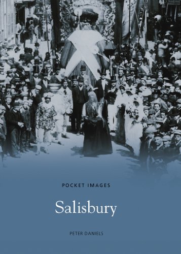 Stock image for Salisbury for sale by WorldofBooks