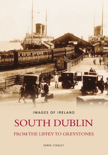9781845885663: South Dublin (Images of Ireland)
