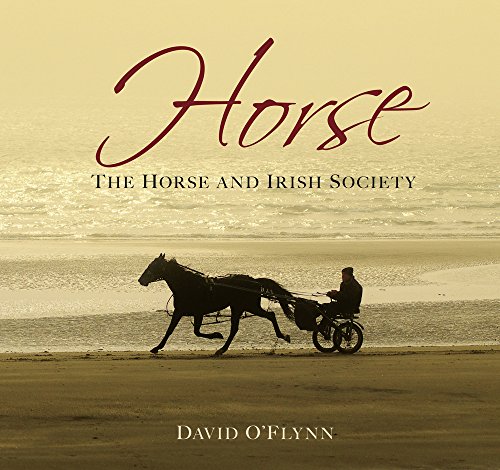 Beispielbild fr Horse: The Horse and Irish Society zum Verkauf von WorldofBooks