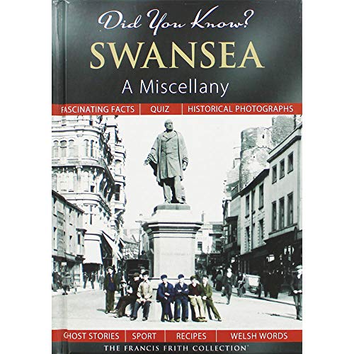 Beispielbild fr Did You Know? Swansea: A Miscellany zum Verkauf von WorldofBooks