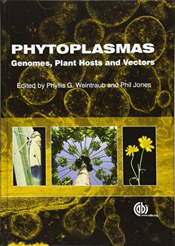 Imagen de archivo de Phytoplasmas a la venta por Mispah books