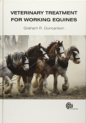 Veterinary Treatment For Working Equines