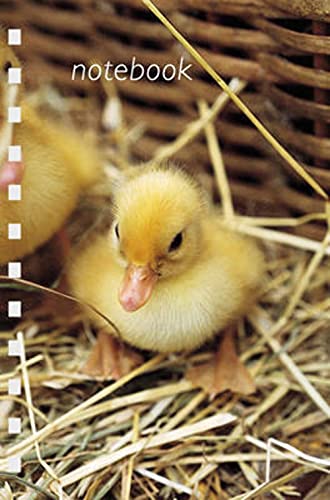 Duckling Mini Notebook (9781845971809) by Ryland Peters & Small