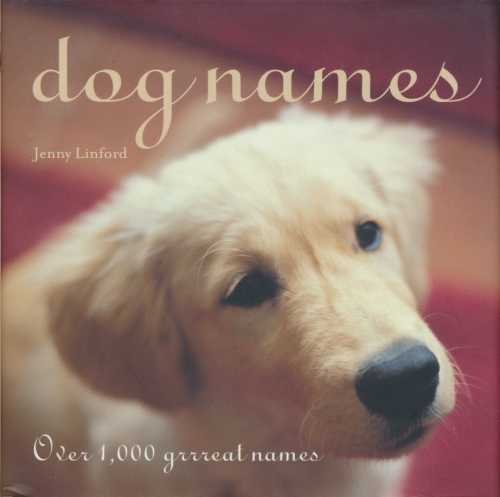 Stock image for Dog Names: Over 1000 Grrreat Names for sale by WorldofBooks