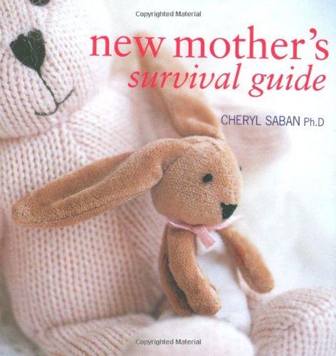 9781845977139: New Mother's Survival Guide: 0