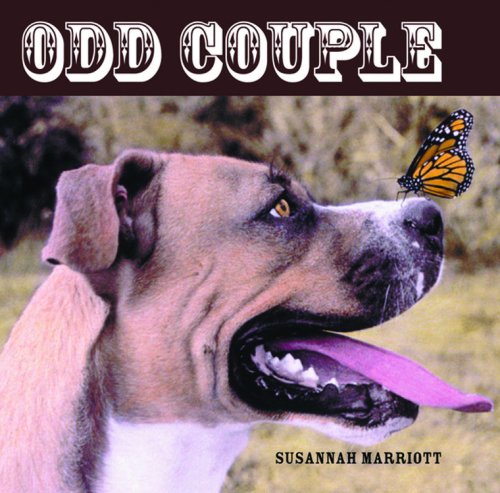 Imagen de archivo de Odd Couple a la venta por A New Leaf Used Books