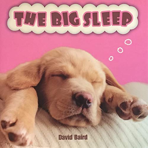 The Big Sleep (Gift) - Baird, David
