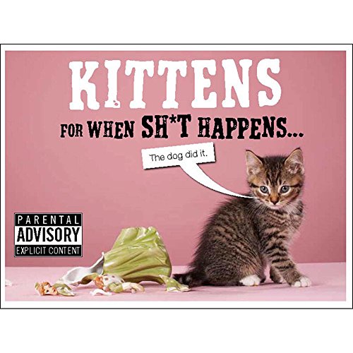 Stock image for Kittens for When Sh*t Happens: Funny Cats and Cute Kittens for Bad Days [Humour] for sale by AwesomeBooks