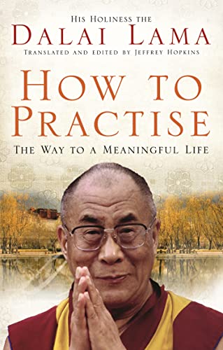 Stock image for How To Practise: The Way to a Meaningful Life for sale by HPB-Diamond