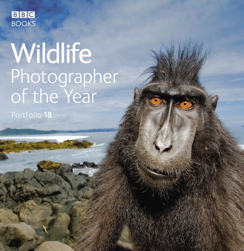 Stock image for Wildlife Photographer of the Year Portfolio 18 for sale by WorldofBooks