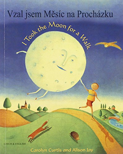 Imagen de archivo de I Took the Moon for a Walk a la venta por Better World Books Ltd