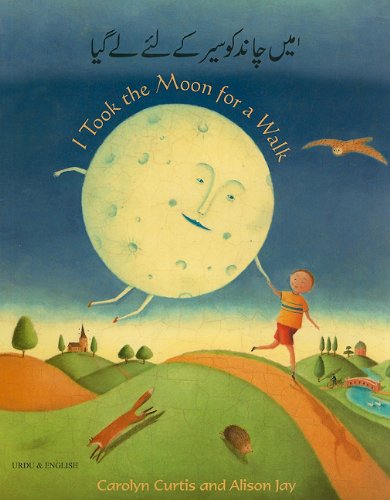 Imagen de archivo de I Took the Moon for a Walk a la venta por Better World Books Ltd