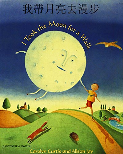 Imagen de archivo de I Took The Moon For A Walk a la venta por GreatBookPrices