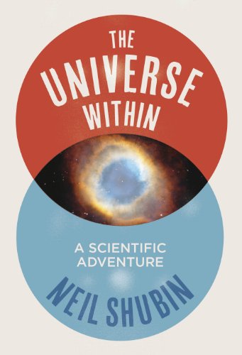 Stock image for The Universe Within: A Scientific Adventure for sale by AwesomeBooks