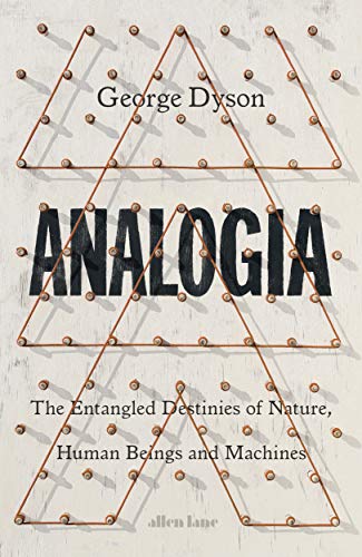 Stock image for Analogia: The Entangled Destinies of Nature, Human Beings and Machines for sale by WorldofBooks