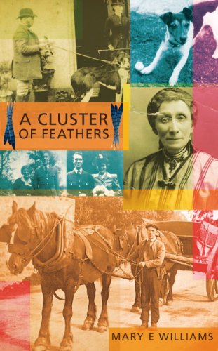 Beispielbild fr A Cluster of Feathers zum Verkauf von WorldofBooks
