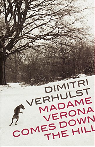 Imagen de archivo de Madame Verona Comes Down the Hill a la venta por WorldofBooks