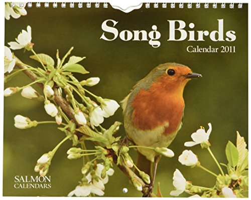 Beispielbild fr Song Birds 2011 (Cameracolour) zum Verkauf von Bestsellersuk