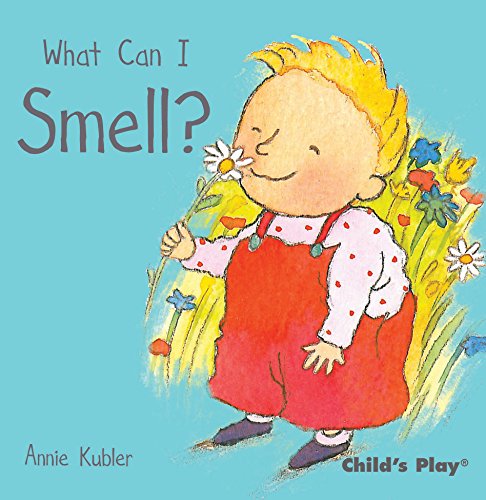9781846433764: What Can I Smell? (Small Senses)