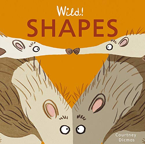 Stock image for Shapes for sale by Better World Books