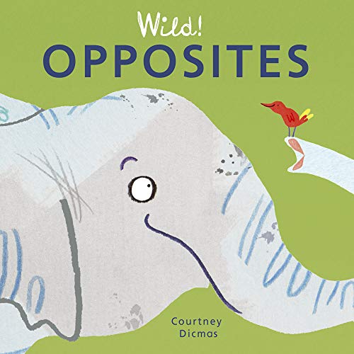 Stock image for Wild! Opposites (Wild! Concepts) for sale by Wonder Book