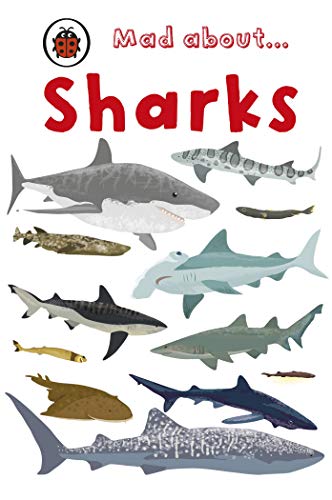 Imagen de archivo de Mad About Sharks (Ladybird Minis) a la venta por AwesomeBooks
