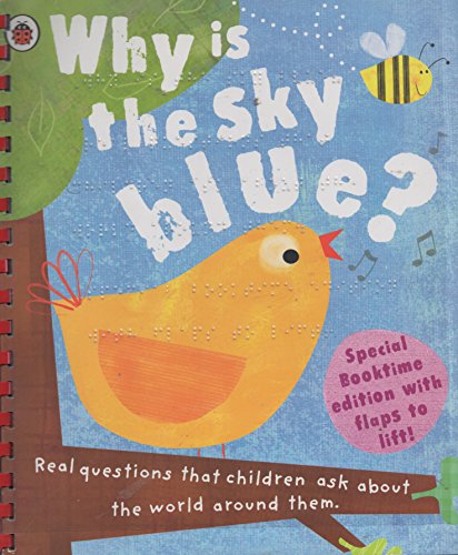 Beispielbild fr Why Is the Sky Blue? (My World) zum Verkauf von AwesomeBooks