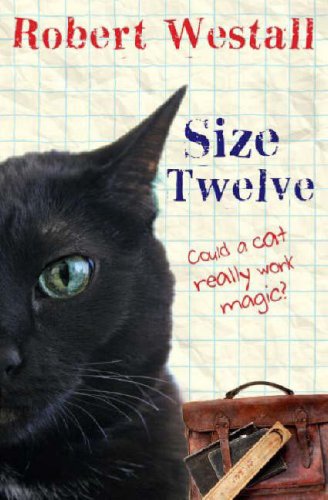 Imagen de archivo de Size Twelve a la venta por WorldofBooks