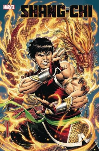 Stock image for Shang-Chi Vol. 1 Brothers & Sisters for sale by WorldofBooks