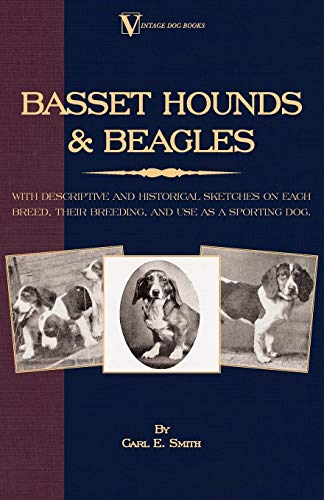 9781846640605: Basset Hounds & Beagles: With Descriptive and Historical Sketches on Each Breed, Their Breeding, and Use as a Sporting Dog