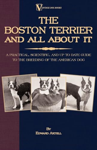 Beispielbild fr The Boston Terrier and All about It A Practical, Scientific, and Up to Date Guide to the Breeding of the American Dog Vintage Dog Books Breed Classic zum Verkauf von PBShop.store US