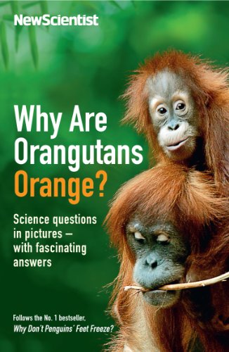 Beispielbild fr Why are Orangutans orange? Science Questions in Pictures - with Fascinating Answers zum Verkauf von Books@Ruawai