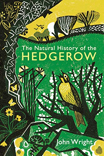 Imagen de archivo de A Natural History of the Hedgerow a la venta por SecondSale