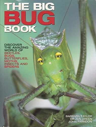 9781846810138: The Big Bug Book by Barbara Taylor (2010-05-04)