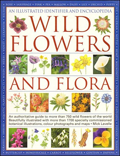 Imagen de archivo de Illustrated Identifier and Encyclopedia of Wild Flowers a la venta por AwesomeBooks