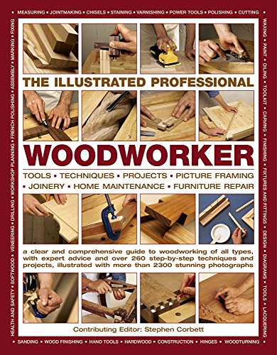 Beispielbild fr The Illustrated Professional Woodworker: Tools, Picture Framing, Joinery, Home Maintenance, Furniture Repair, with Expert Advice and Over 260 Step-By-Step Techniques and Projects zum Verkauf von WorldofBooks