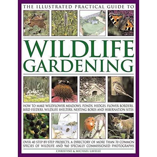 Stock image for The Illustrated Practical Guide to Wildlife Gardening for sale by AwesomeBooks