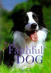 Stock image for Faithful Dog for sale by WorldofBooks