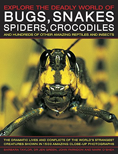 Imagen de archivo de Explore the Deadly World of Bugs, Snakes, Spiders & Crocodiles: The Dramatic Lives And Conflicts Of The World'S Strangest Creatures Shown In 1500 Amazing Close-Up Photographs a la venta por GF Books, Inc.