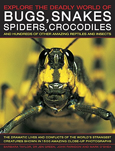 Stock image for Explore the Deadly World of Bugs, Snakes, Spiders & Crocodiles: The Dramatic Lives And Conflicts Of The World'S Strangest Creatures Shown In 1500 Amazing Close-Up Photographs for sale by GF Books, Inc.