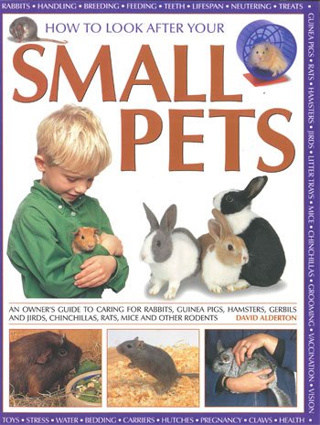 Beispielbild fr How to Look After Your Small Pets zum Verkauf von WorldofBooks