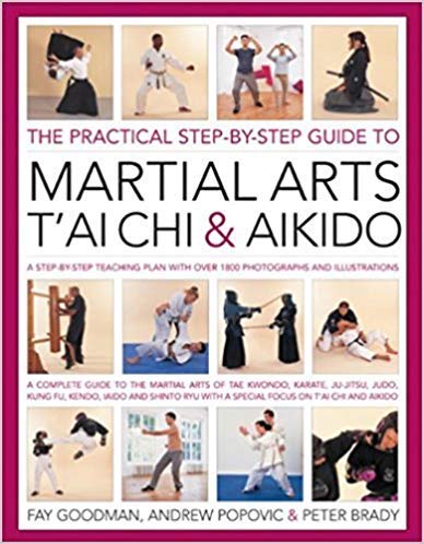 9781846815119: The Practical Step-by-step Guide to Martial Arts T