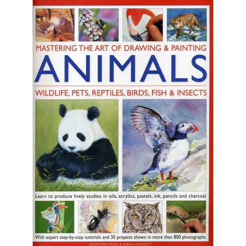Stock image for Mastering Art Of Drawing & Painting Animals for sale by MusicMagpie