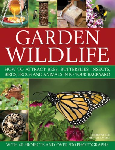 Imagen de archivo de Garden Wildlife: How to Attract Bees, Butterflies, Insects, Birds, Frogs and Animals into Your Backyard a la venta por AwesomeBooks