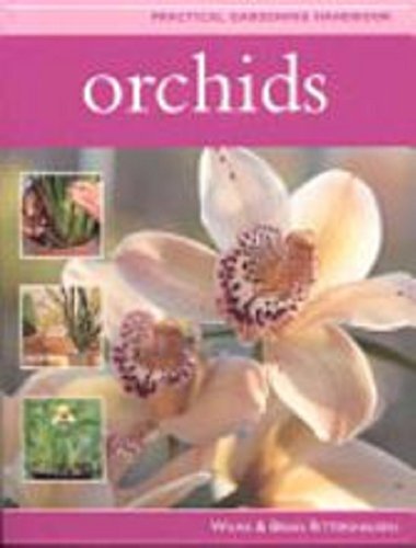 Stock image for Practical Gardening Handbook: Orchids for sale by HPB-Diamond