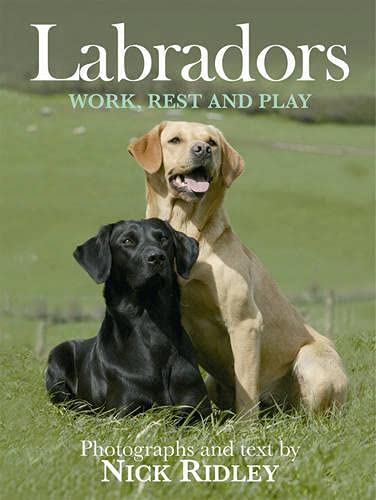 Beispielbild fr Labradors : Work, Rest and Play zum Verkauf von Better World Books