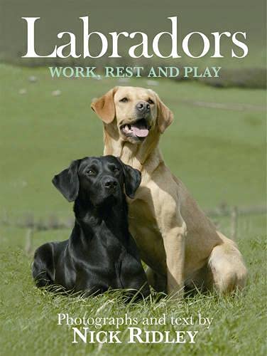 Stock image for Labradors : Work, Rest and Play for sale by Better World Books