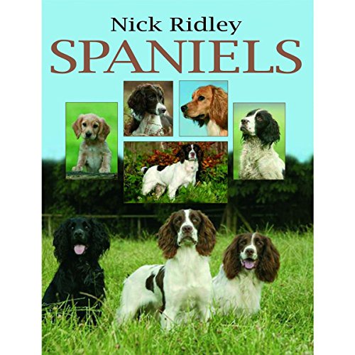 Imagen de archivo de Spaniels a la venta por Better World Books