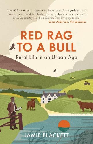 Stock image for RED RAG TO A BULL for sale by Revaluation Books